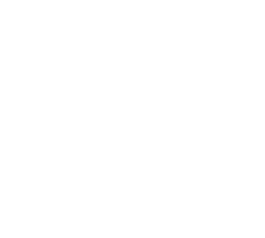 lgdms seo